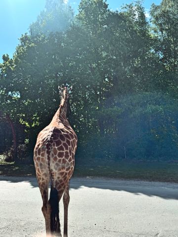 Serengeti-Park Hodenhagen – 45