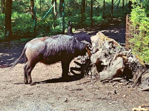 Serengeti-Park Hodenhagen – 22