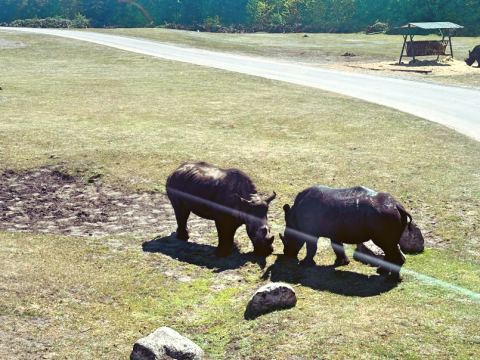 Serengeti-Park Hodenhagen – 32