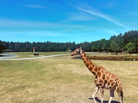 Serengeti-Park Hodenhagen – 36