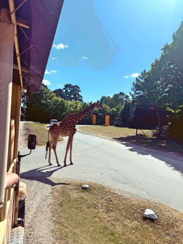 Serengeti-Park Hodenhagen – 44