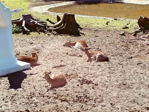 Serengeti-Park Hodenhagen – 14