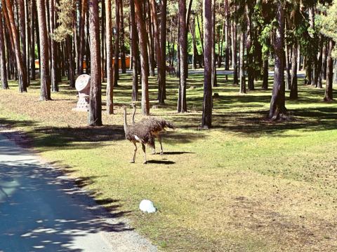 Serengeti-Park Hodenhagen – 11