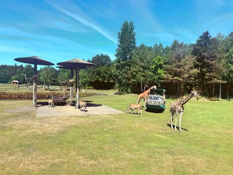 Serengeti-Park Hodenhagen – 37