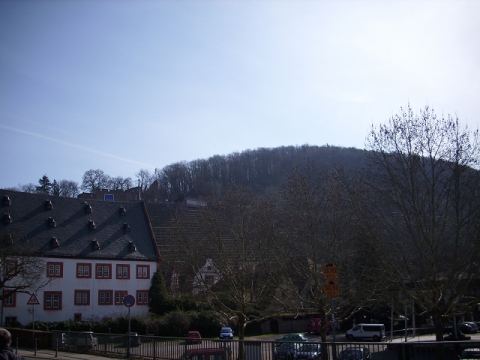 Klingenberg 2010 – 1