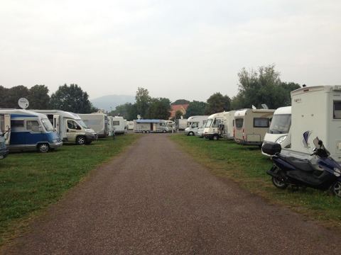 Rinteln 2013 – 2