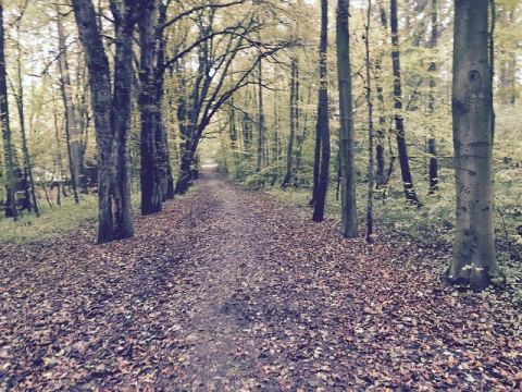 Horn-Bad-Meinberg-2015 – 9