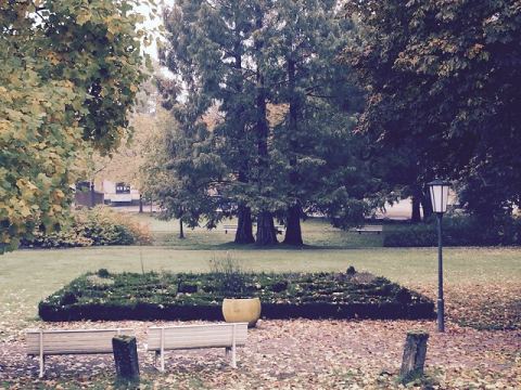 Horn-Bad-Meinberg-2015 – 6
