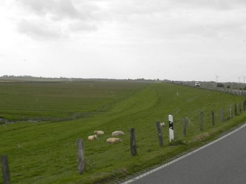 Nordstrand 2012 – 21