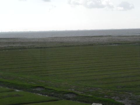 Nordstrand 2012 – 19