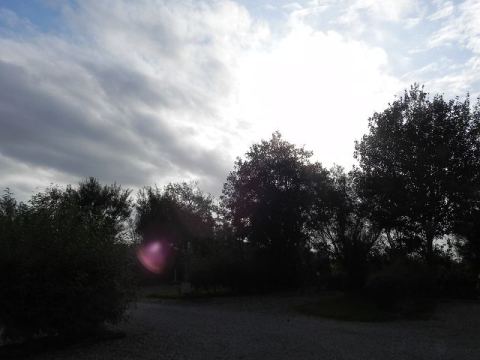Nordstrand 2012 – 28