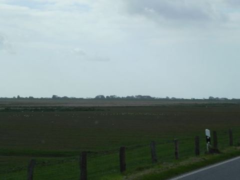 Nordstrand 2012 – 22