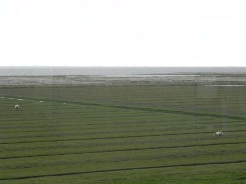 Nordstrand 2012 – 20