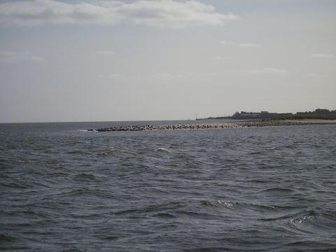 Sylt 2009 – 18
