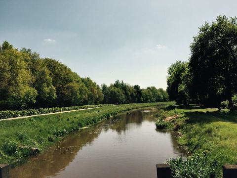 Borger 2015 – 33