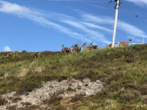 Scotland 2018 – 11