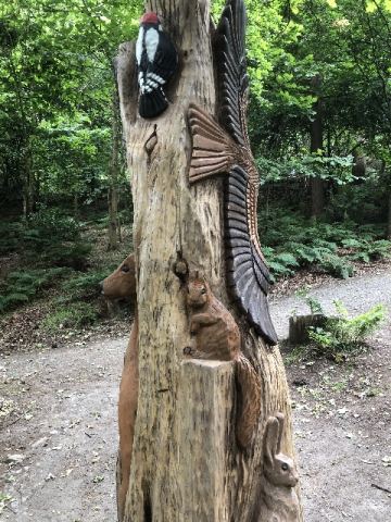 Schottland 2018 – 44