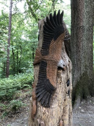 Schottland 2018 – 50