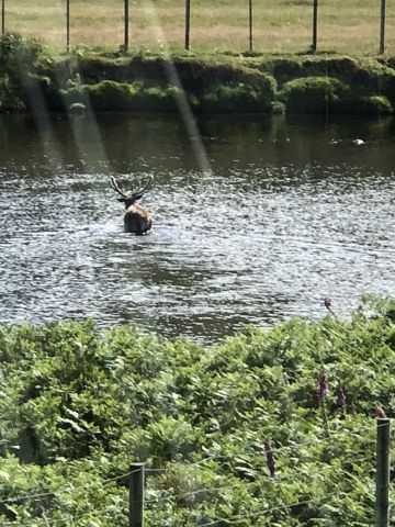 Scotland 2018 – 5