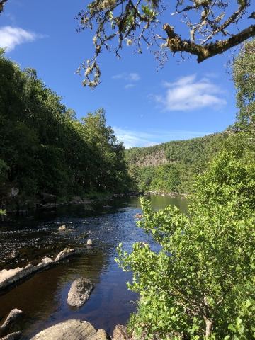 Scotland 2018 – 48