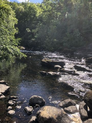 Scotland 2018 – 47