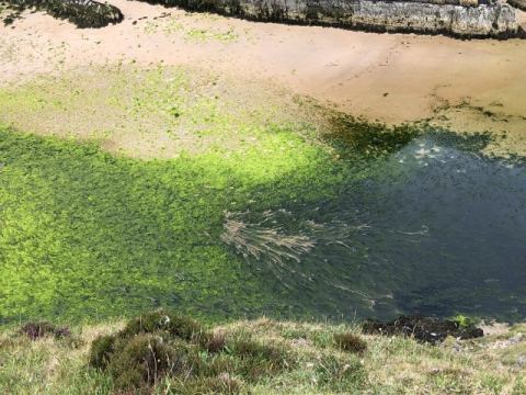Scotland 2018 – 68