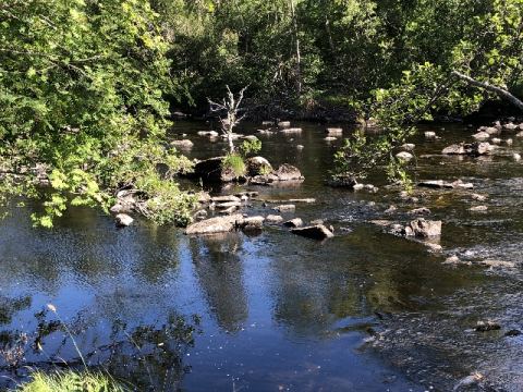 Scotland 2018 – 53