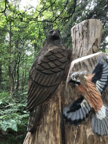 Schottland 2018 – 48