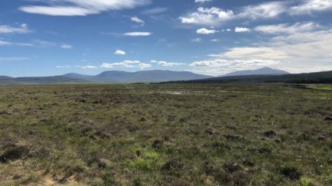 Scotland 2018 – 14