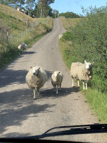 Scotland 2018 – 16