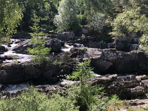 Scotland 2018 – 43