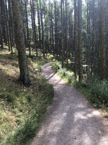 Scotland 2018 – 24
