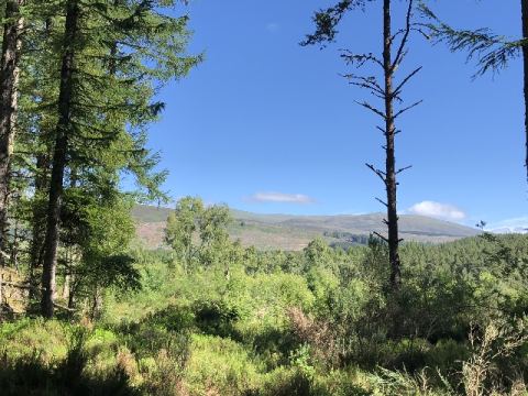 Scotland 2018 – 55