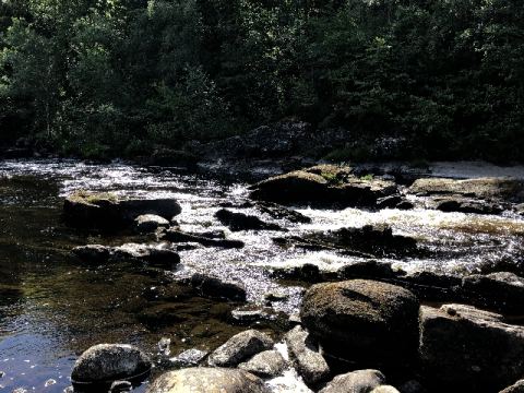 Scotland 2018 – 45