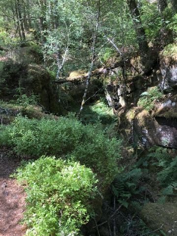 Scotland 2018 – 56