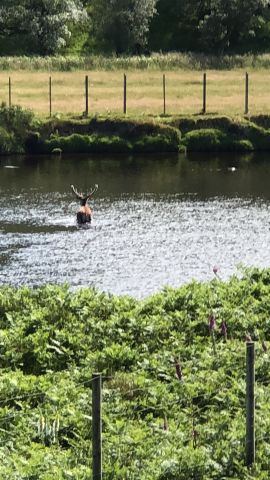 Scotland 2018 – 6
