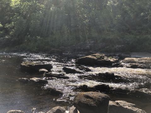 Scotland 2018 – 50