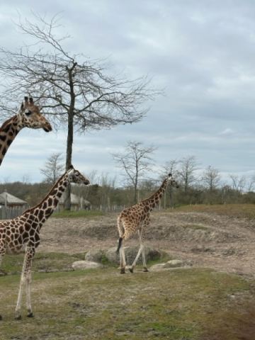Ostertour 2026 Teil 1 Emmen – 9