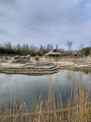 Ostertour 2026 Teil 1 Emmen – 37