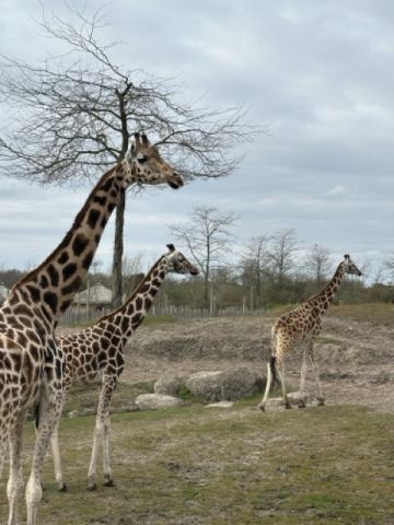 Ostertour 2026 Teil 1 Emmen – 10