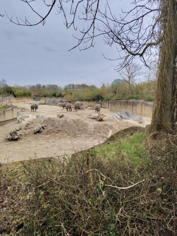 Ostertour 2026 Teil 1 Emmen – 34