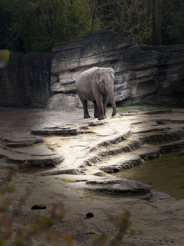 Ostertour 2026 Teil 1 Emmen – 1