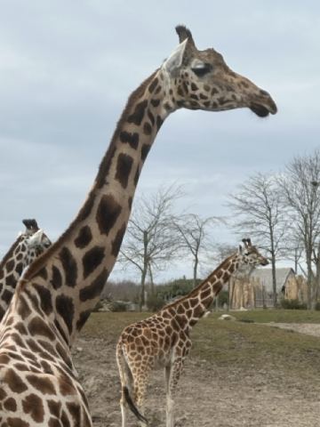 Ostertour 2026 Teil 1 Emmen – 11
