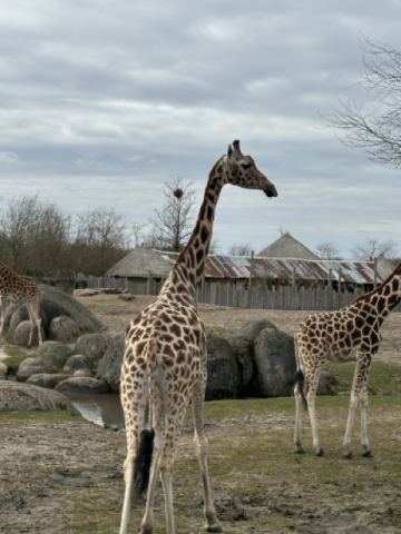 Ostertour 2026 Teil 1 Emmen – 8