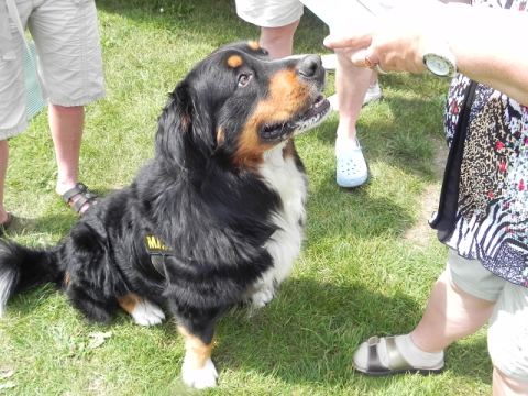 Schraubertreffen 2011 – 129