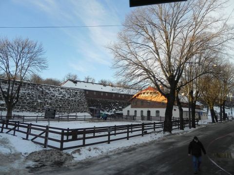 Oslo-2011 – 85
