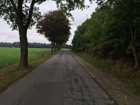 Egestorf 2016 – 16