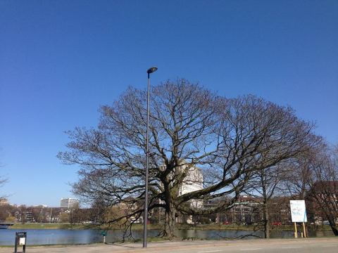 Eckernförde 2013 – 73