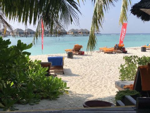 AIDA Transfer Cruise 2017 – 6