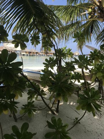 AIDA Transfer Cruise 2017 – 26